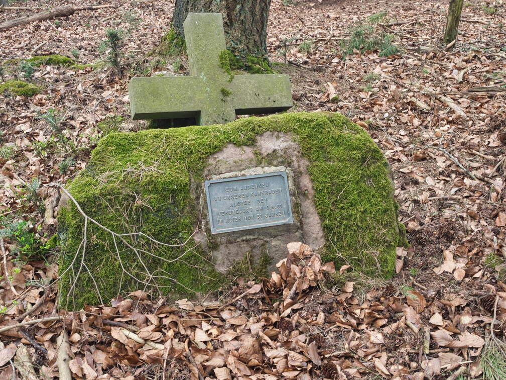 P3290245